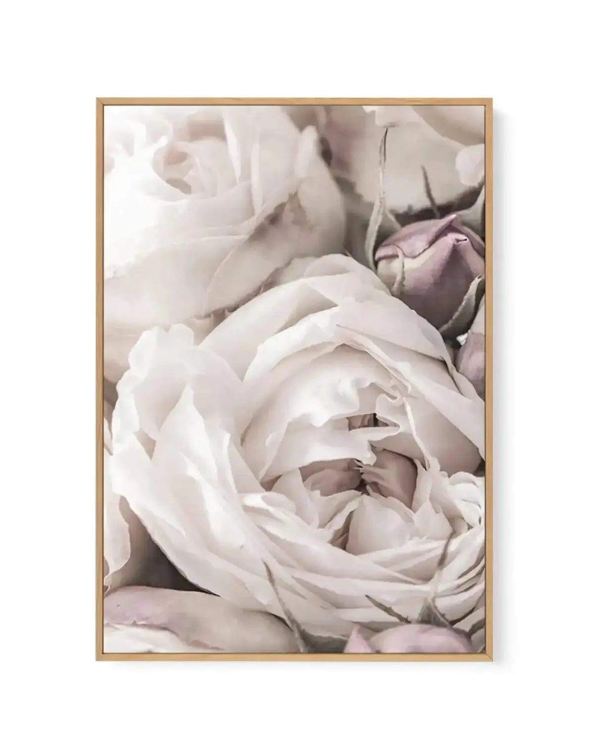 Vintage Roses II | Framed Canvas-CANVAS-You can shop wall art online with Olive et Oriel for everything from abstract art to fun kids wall art. Our beautiful modern art prints and canvas art are available from large canvas prints to wall art paintings and our proudly Australian artwork collection offers only the highest quality framed large wall art and canvas art Australia - You can buy fashion photography prints or Hampton print posters and paintings on canvas from Olive et Oriel and have them