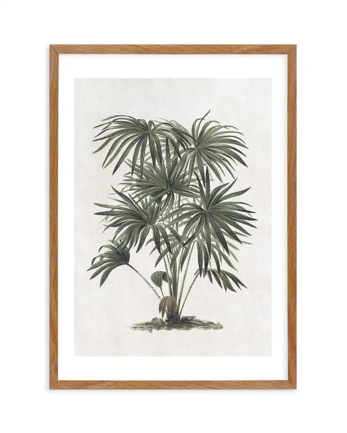 Vintage Tropics I Art Print-PRINT-Olive et Oriel-Olive et Oriel-50x70 cm | 19.6" x 27.5"-Walnut-With White Border-Buy-Australian-Art-Prints-Online-with-Olive-et-Oriel-Your-Artwork-Specialists-Austrailia-Decorate-With-Coastal-Photo-Wall-Art-Prints-From-Our-Beach-House-Artwork-Collection-Fine-Poster-and-Framed-Artwork