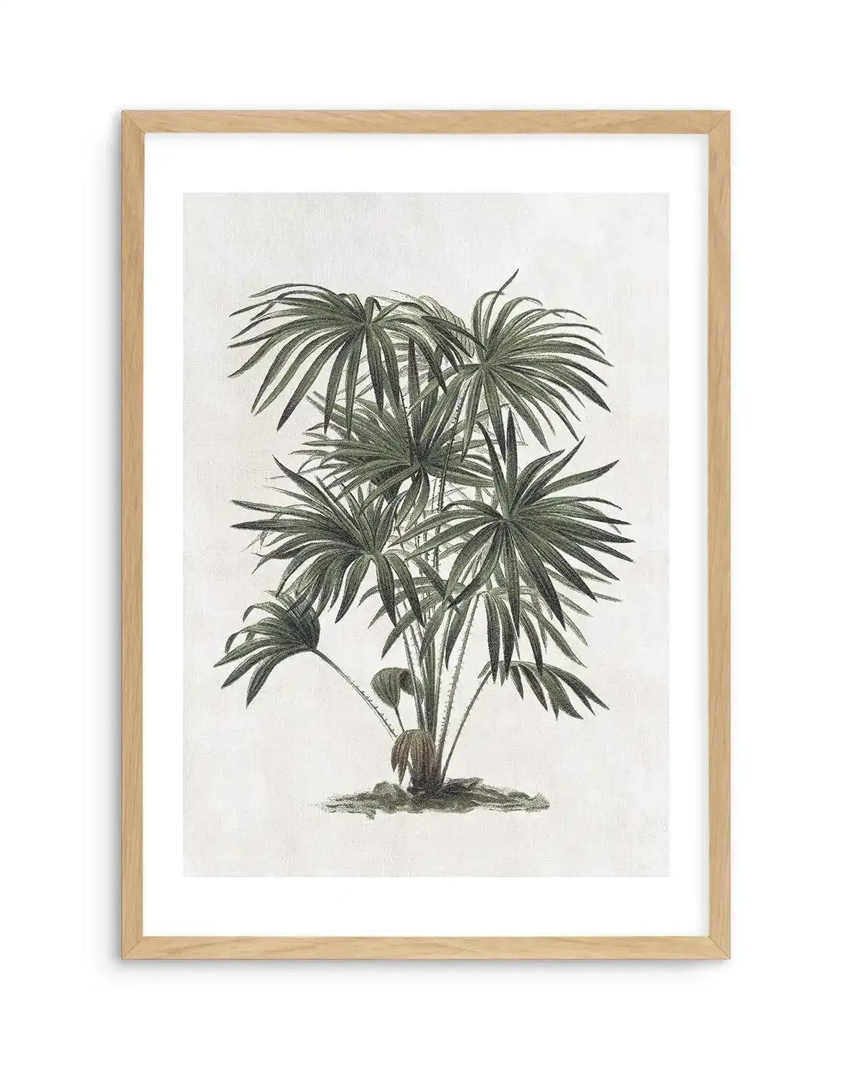 Vintage Tropics I Art Print-PRINT-Olive et Oriel-Olive et Oriel-A5 | 5.8" x 8.3" | 14.8 x 21cm-Oak-With White Border-Buy-Australian-Art-Prints-Online-with-Olive-et-Oriel-Your-Artwork-Specialists-Austrailia-Decorate-With-Coastal-Photo-Wall-Art-Prints-From-Our-Beach-House-Artwork-Collection-Fine-Poster-and-Framed-Artwork