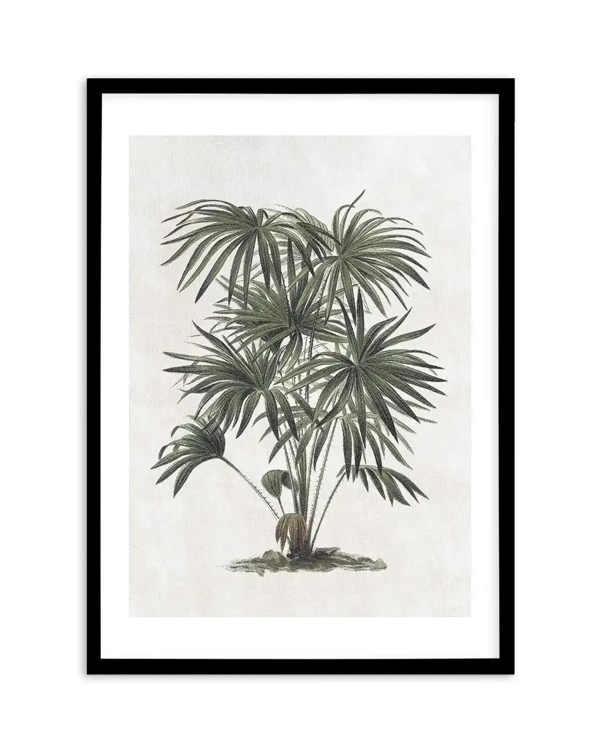 Vintage Tropics I Art Print-PRINT-Olive et Oriel-Olive et Oriel-A5 | 5.8" x 8.3" | 14.8 x 21cm-Black-With White Border-Buy-Australian-Art-Prints-Online-with-Olive-et-Oriel-Your-Artwork-Specialists-Austrailia-Decorate-With-Coastal-Photo-Wall-Art-Prints-From-Our-Beach-House-Artwork-Collection-Fine-Poster-and-Framed-Artwork