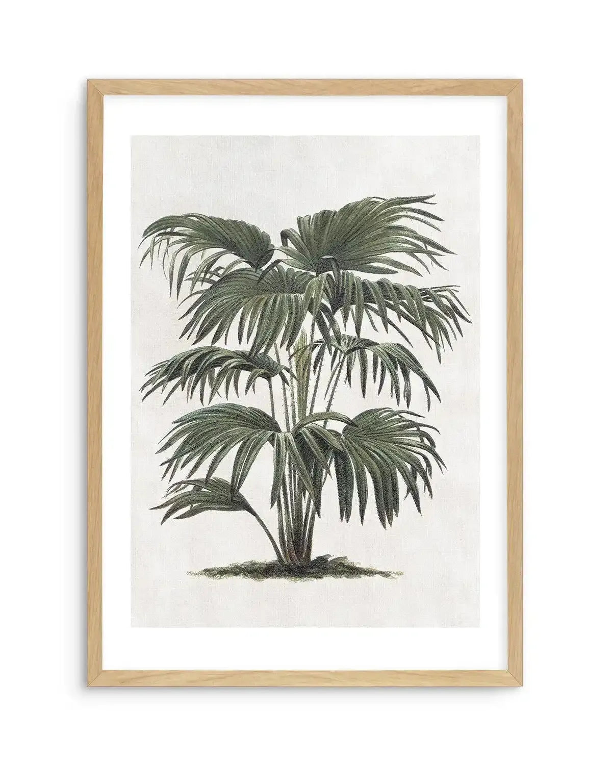 Vintage Tropics II Art Print-PRINT-Olive et Oriel-Olive et Oriel-A5 | 5.8" x 8.3" | 14.8 x 21cm-Oak-With White Border-Buy-Australian-Art-Prints-Online-with-Olive-et-Oriel-Your-Artwork-Specialists-Austrailia-Decorate-With-Coastal-Photo-Wall-Art-Prints-From-Our-Beach-House-Artwork-Collection-Fine-Poster-and-Framed-Artwork