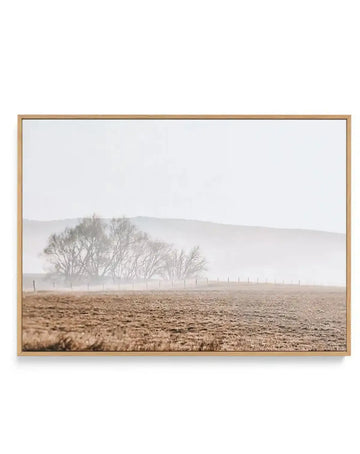 Wandering Fields | Framed Canvas-CANVAS-You can shop wall art online with Olive et Oriel for everything from abstract art to fun kids wall art. Our beautiful modern art prints and canvas art are available from large canvas prints to wall art paintings and our proudly Australian artwork collection offers only the highest quality framed large wall art and canvas art Australia - You can buy fashion photography prints or Hampton print posters and paintings on canvas from Olive et Oriel and have them