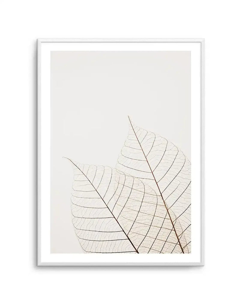 Framed photography art print featuring two translucent skeletal leaves with delicate vein structures in warm brown tones against a bright white background, displayed in a white frame with white border.