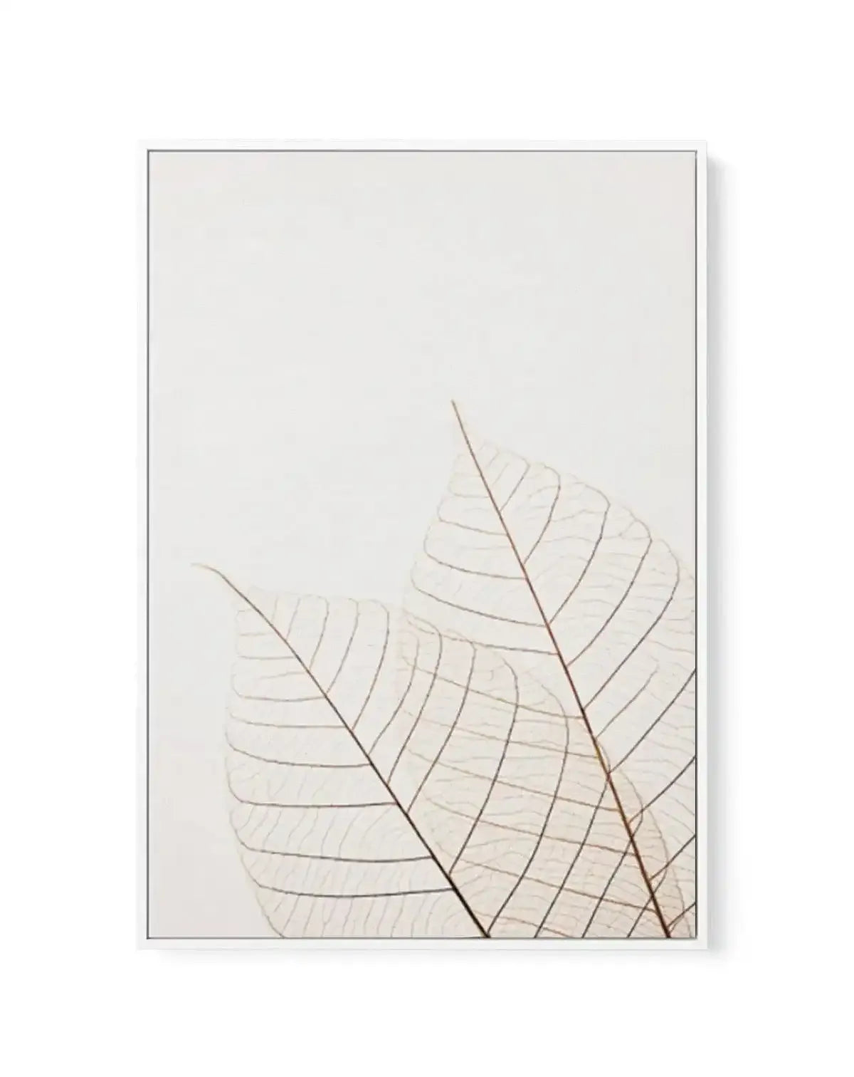 Warm Leaves | Framed Canvas-CANVAS-You can shop wall art online with Olive et Oriel for everything from abstract art to fun kids wall art. Our beautiful modern art prints and canvas art are available from large canvas prints to wall art paintings and our proudly Australian artwork collection offers only the highest quality framed large wall art and canvas art Australia - You can buy fashion photography prints or Hampton print posters and paintings on canvas from Olive et Oriel and have them deli