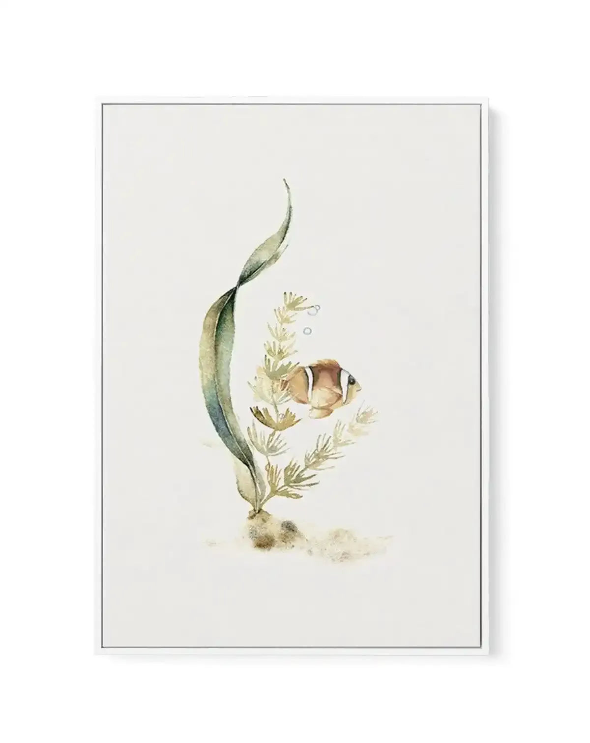 Watercolour Fish | Framed Canvas-CANVAS-You can shop wall art online with Olive et Oriel for everything from abstract art to fun kids wall art. Our beautiful modern art prints and canvas art are available from large canvas prints to wall art paintings and our proudly Australian artwork collection offers only the highest quality framed large wall art and canvas art Australia - You can buy fashion photography prints or Hampton print posters and paintings on canvas from Olive et Oriel and have them