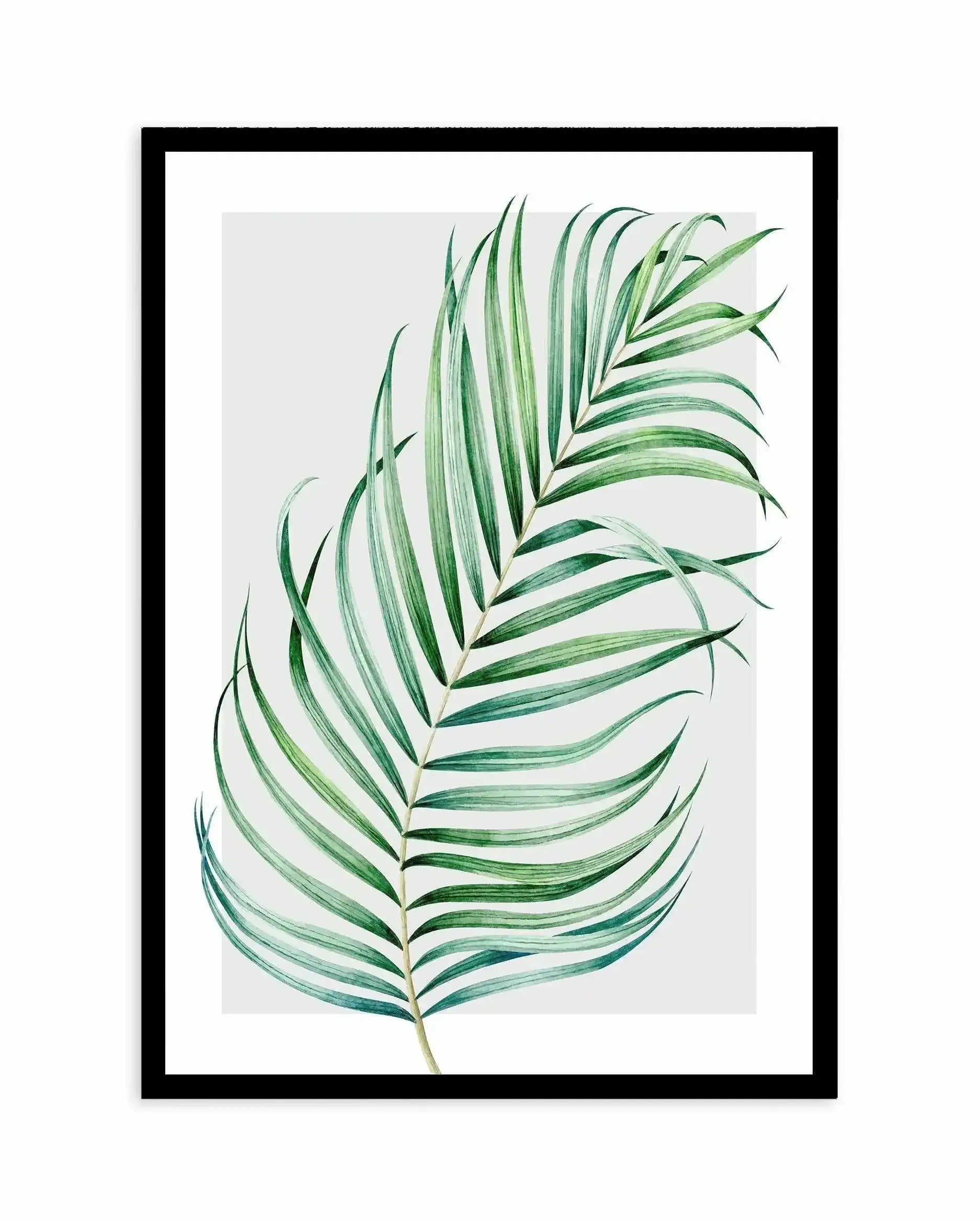 Watercolour Palm On Grey I Art Print-PRINT-Olive et Oriel-Olive et Oriel-A5 | 5.8" x 8.3" | 14.8 x 21cm-Black-With White Border-Buy-Australian-Art-Prints-Online-with-Olive-et-Oriel-Your-Artwork-Specialists-Austrailia-Decorate-With-Coastal-Photo-Wall-Art-Prints-From-Our-Beach-House-Artwork-Collection-Fine-Poster-and-Framed-Artwork