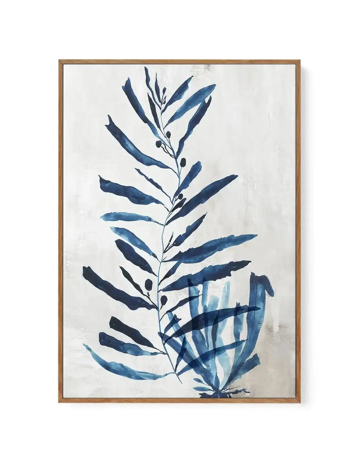 Watercolour Sea Kelp I | Framed Canvas-CANVAS-You can shop wall art online with Olive et Oriel for everything from abstract art to fun kids wall art. Our beautiful modern art prints and canvas art are available from large canvas prints to wall art paintings and our proudly Australian artwork collection offers only the highest quality framed large wall art and canvas art Australia - You can buy fashion photography prints or Hampton print posters and paintings on canvas from Olive et Oriel and hav