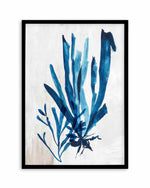 Watercolour Sea Kelp III Art Print