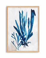 Watercolour Sea Kelp III Art Print