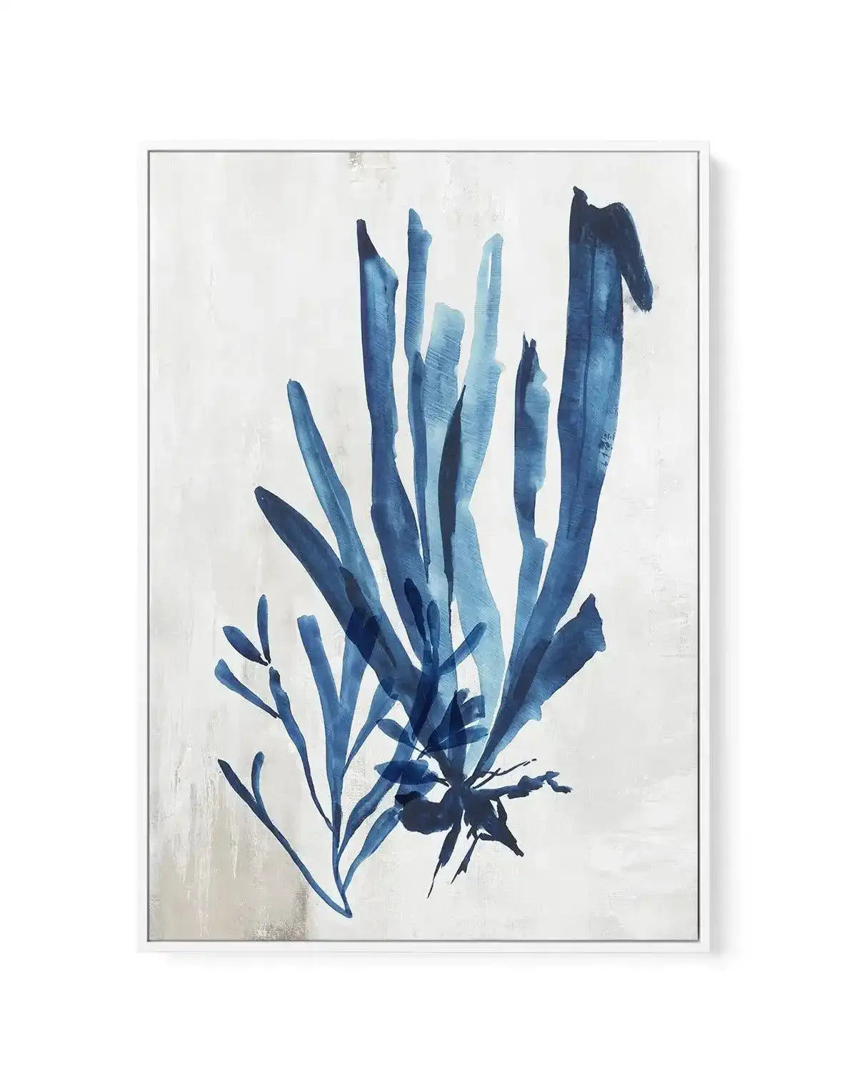 Watercolour Sea Kelp III | Framed Canvas-CANVAS-You can shop wall art online with Olive et Oriel for everything from abstract art to fun kids wall art. Our beautiful modern art prints and canvas art are available from large canvas prints to wall art paintings and our proudly Australian artwork collection offers only the highest quality framed large wall art and canvas art Australia - You can buy fashion photography prints or Hampton print posters and paintings on canvas from Olive et Oriel and h
