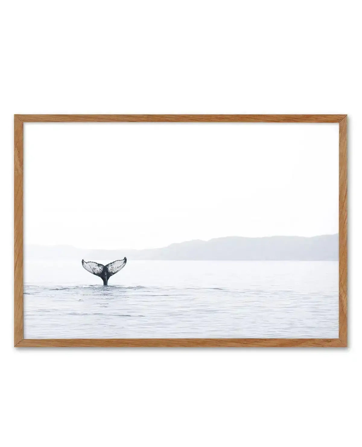 Whale Song Art Print-PRINT-Olive et Oriel-Olive et Oriel-50x70 cm | 19.6" x 27.5"-Walnut-With White Border-Buy-Australian-Art-Prints-Online-with-Olive-et-Oriel-Your-Artwork-Specialists-Austrailia-Decorate-With-Coastal-Photo-Wall-Art-Prints-From-Our-Beach-House-Artwork-Collection-Fine-Poster-and-Framed-Artwork