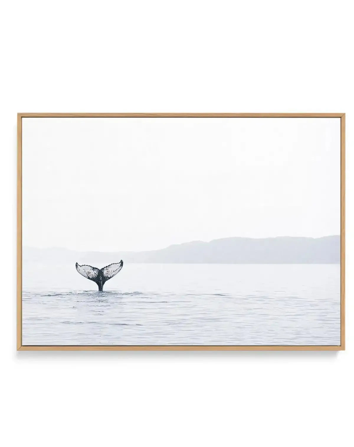 Whale Song | Framed Canvas-CANVAS-You can shop wall art online with Olive et Oriel for everything from abstract art to fun kids wall art. Our beautiful modern art prints and canvas art are available from large canvas prints to wall art paintings and our proudly Australian artwork collection offers only the highest quality framed large wall art and canvas art Australia - You can buy fashion photography prints or Hampton print posters and paintings on canvas from Olive et Oriel and have them deliv