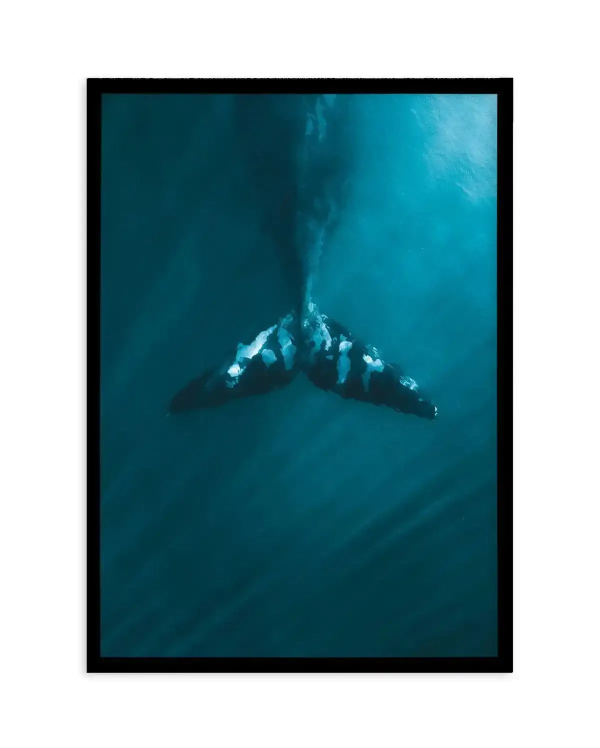 Whale Tail Blue | PT Art Print-PRINT-Olive et Oriel-Olive et Oriel-A5 | 5.8" x 8.3" | 14.8 x 21cm-Black-With White Border-Buy-Australian-Art-Prints-Online-with-Olive-et-Oriel-Your-Artwork-Specialists-Austrailia-Decorate-With-Coastal-Photo-Wall-Art-Prints-From-Our-Beach-House-Artwork-Collection-Fine-Poster-and-Framed-Artwork