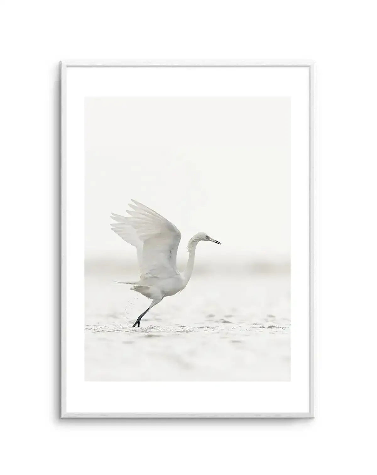 White Bird in Flight Art Print-PRINT-Olive et Oriel-Olive et Oriel-A5 | 5.8" x 8.3" | 14.8 x 21cm-Unframed Art Print-With White Border-Buy-Australian-Art-Prints-Online-with-Olive-et-Oriel-Your-Artwork-Specialists-Austrailia-Decorate-With-Coastal-Photo-Wall-Art-Prints-From-Our-Beach-House-Artwork-Collection-Fine-Poster-and-Framed-Artwork