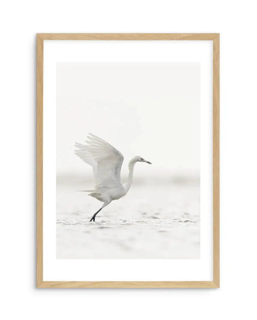 Framed black and white photograph of a white bird in flight, captured mid-takeoff from shallow water, displayed in a natural oak frame with white border. The bird, likely an egret, has its wings spread wide, creating splashes in the water with its legs. The background is a soft, bright white, suggesting an overcast sky or bright light.