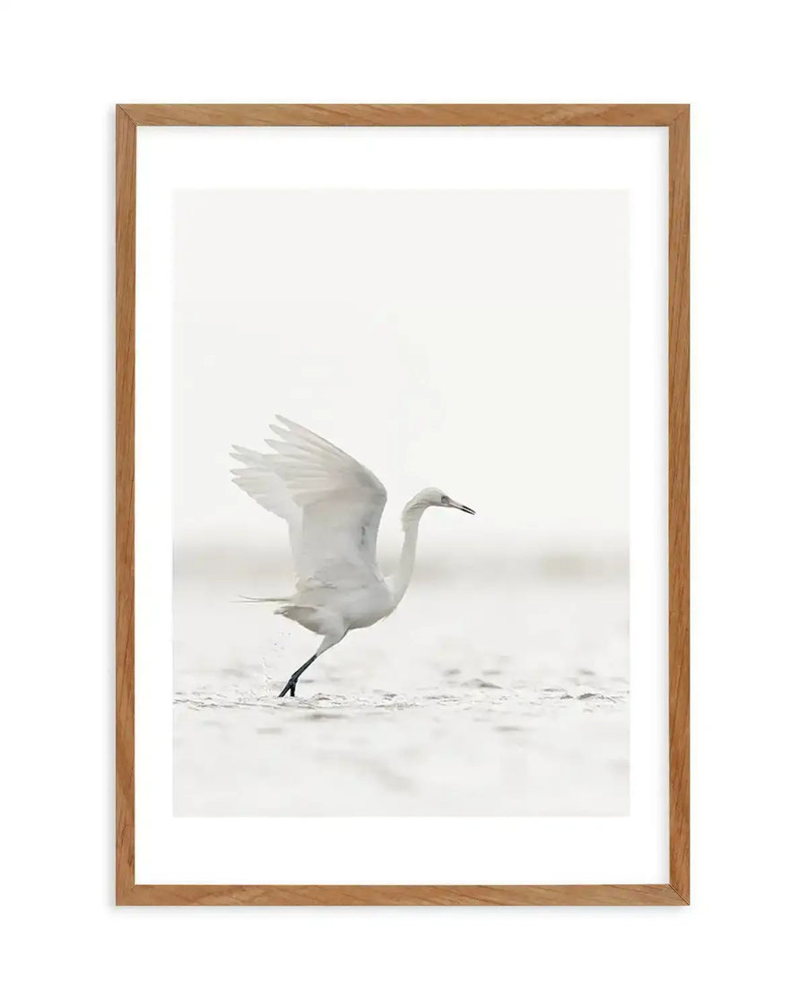 Framed black and white photograph of a white egret in shallow water, captured mid-stride with wings partially open, creating a sense of movement and grace. The bird is the central focus against a soft, diffused background, printed on fine art paper and displayed in a natural oak frame with white border.
