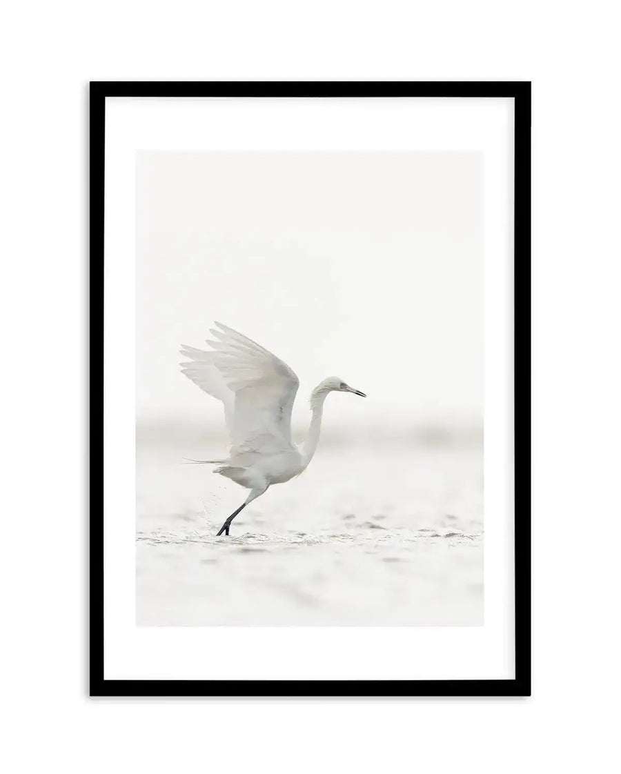 Framed black and white photograph of a white bird taking flight from shallow water, displayed in a black frame with a white border. The bird, likely an egret, is captured mid-stride with its wings partially extended, creating a dynamic composition. The background is soft and out of focus, suggesting a bright, overcast sky or distant water.
