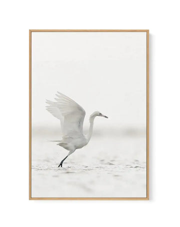 Framed canvas art print featuring a white egret or heron in mid-flight with wings spread upward, captured against a soft, misty gray and white background. The bird is shown in profile on a sandy beach or shallow water setting. The photograph has a serene, minimalist aesthetic with muted tones. The canvas is mounted in a natural wood frame with a white border.