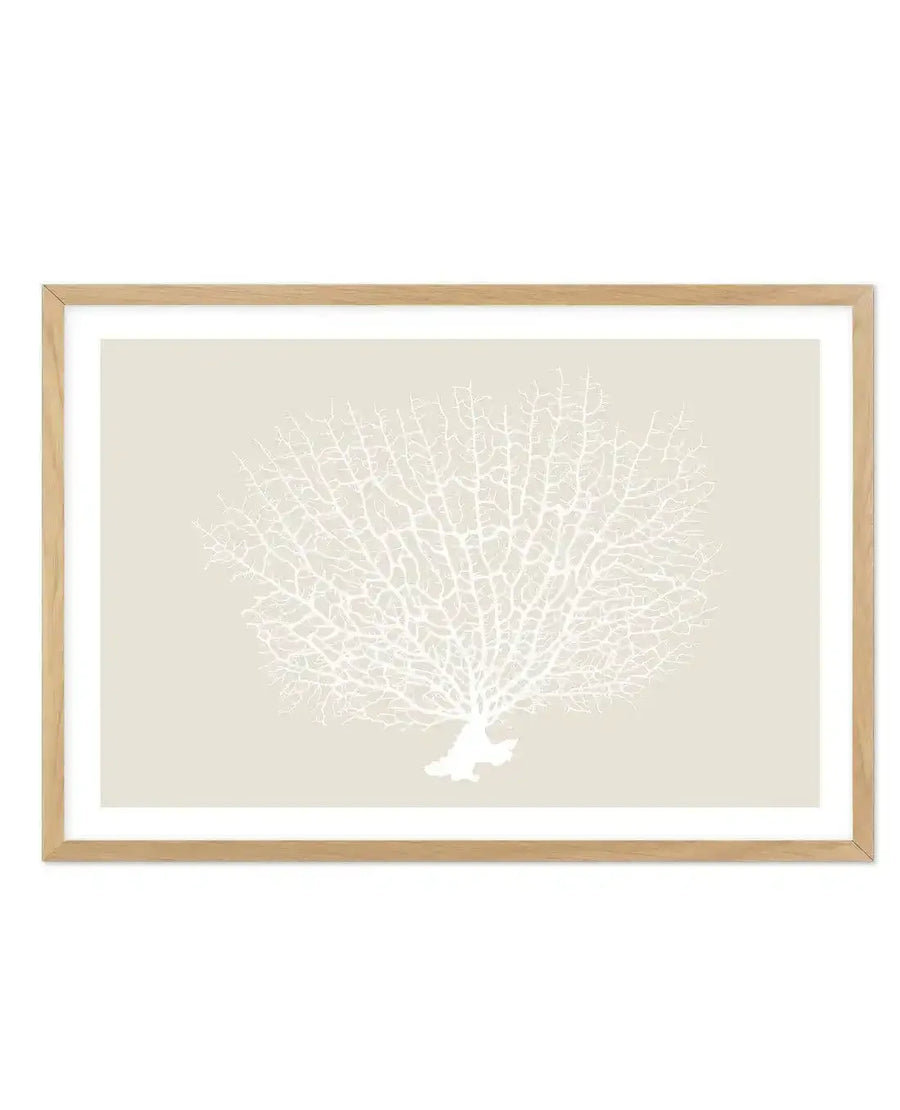 Art print featuring a detailed illustration of white coral with a fan-like, branching structure on a soft beige background, displayed in a natural oak frame with white border.