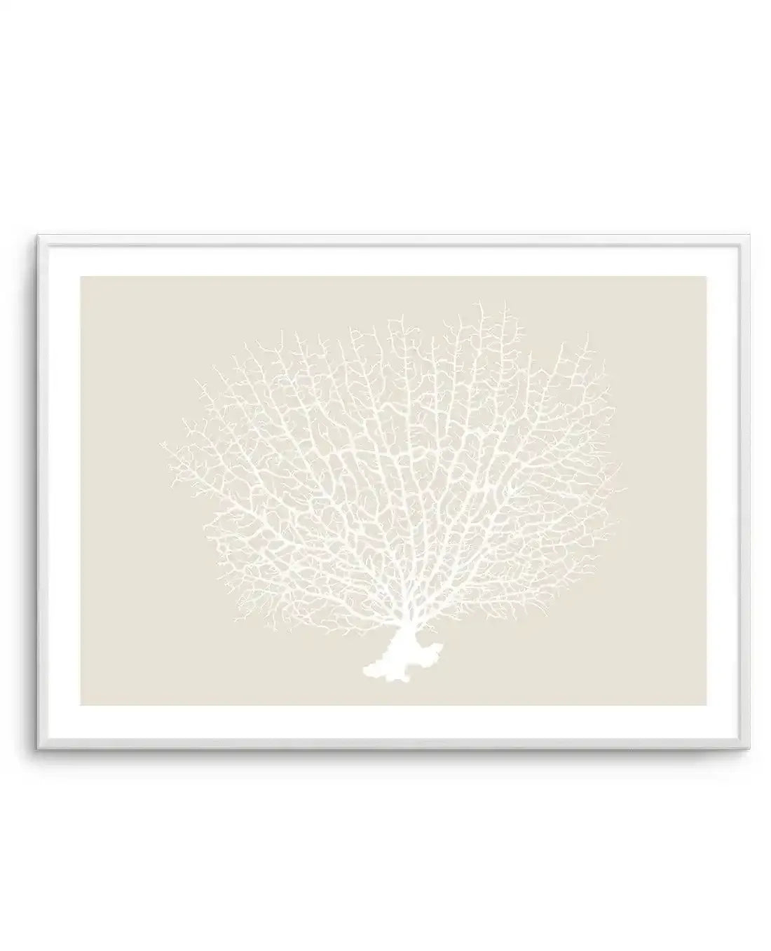 White Coral On Beige Art Print-PRINT-Olive et Oriel-Olive et Oriel-A5 | 5.8" x 8.3" | 14.8 x 21cm-Unframed Art Print-With White Border-Buy-Australian-Art-Prints-Online-with-Olive-et-Oriel-Your-Artwork-Specialists-Austrailia-Decorate-With-Coastal-Photo-Wall-Art-Prints-From-Our-Beach-House-Artwork-Collection-Fine-Poster-and-Framed-Artwork
