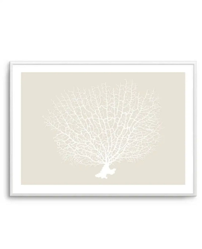 Art print featuring a detailed illustration of a white sea fan coral with intricate, branching patterns, set against a solid light beige background, displayed in a white frame with a white border.