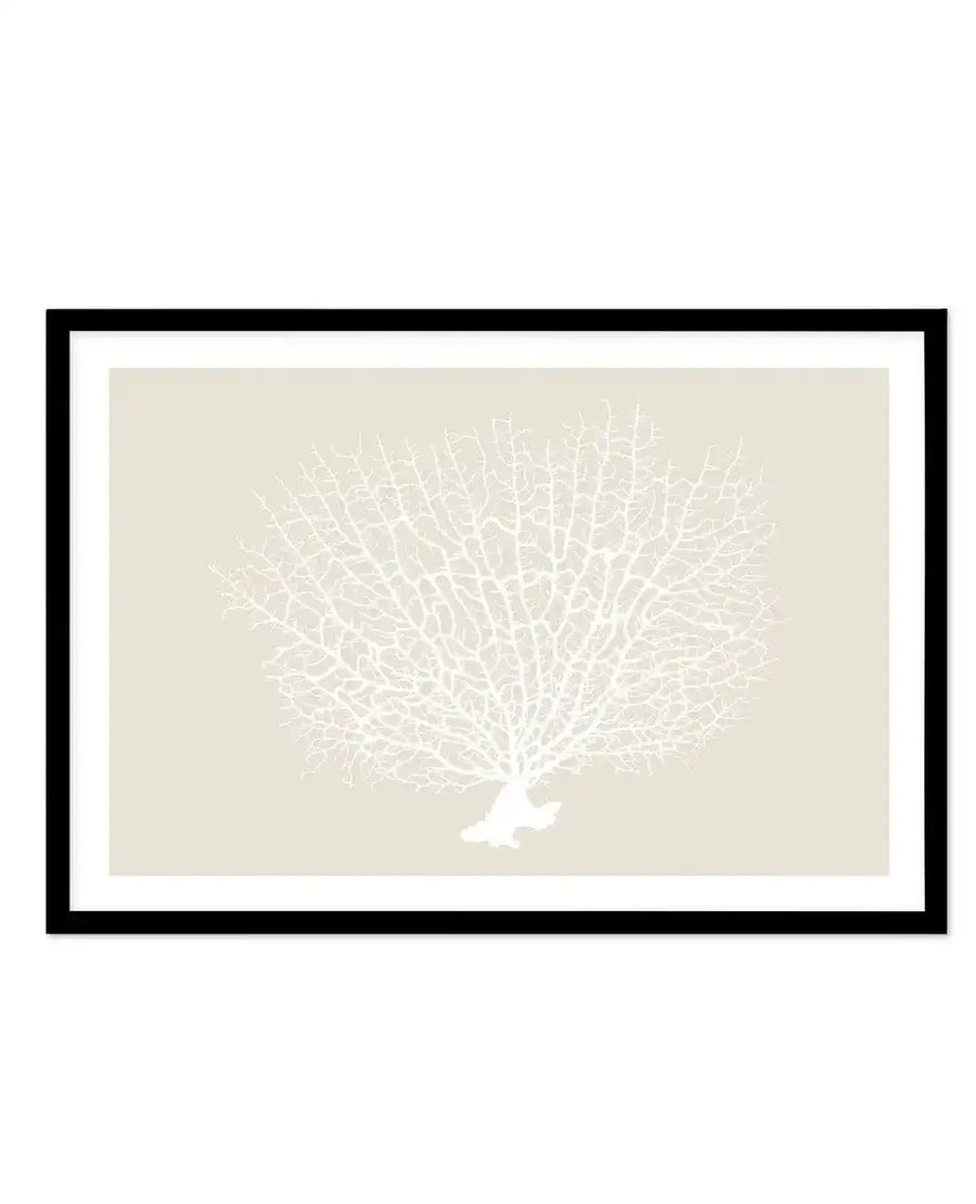 Art print featuring a detailed illustration of a white coral fan with intricate branching patterns on a solid light beige background, displayed in a black frame with a white border.