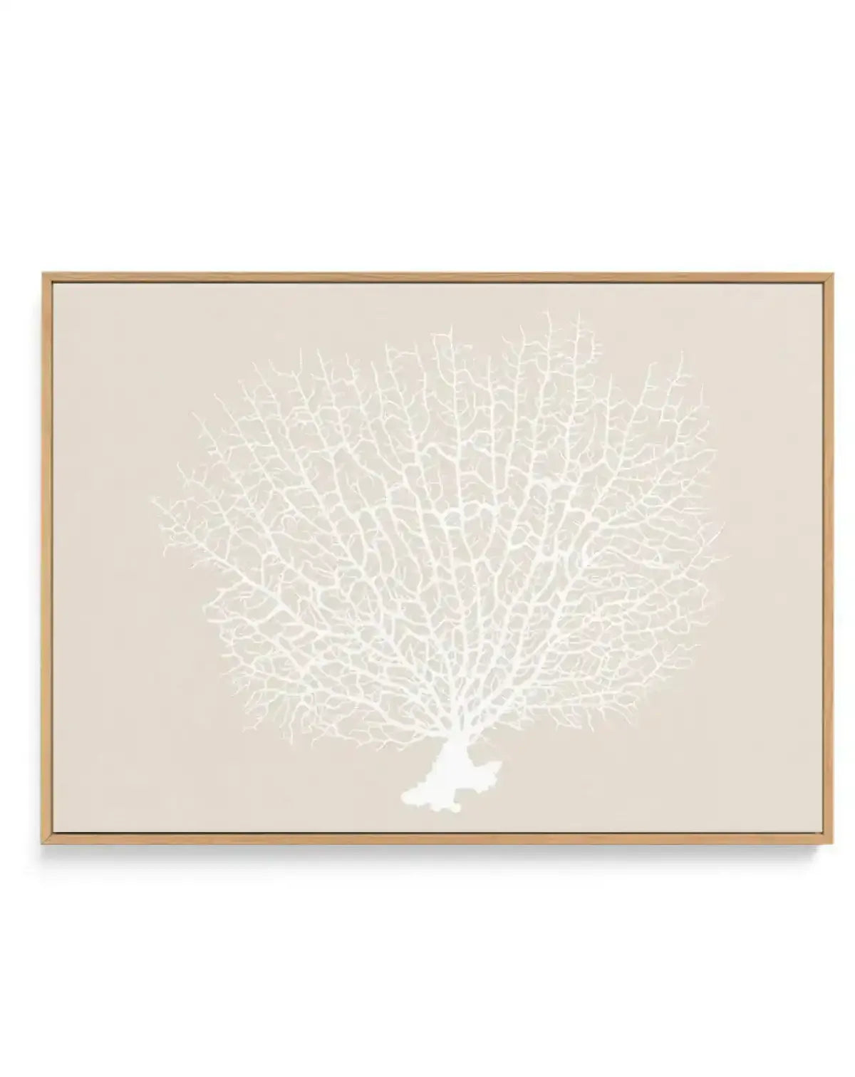 White Coral On Beige | Framed Canvas-CANVAS-You can shop wall art online with Olive et Oriel for everything from abstract art to fun kids wall art. Our beautiful modern art prints and canvas art are available from large canvas prints to wall art paintings and our proudly Australian artwork collection offers only the highest quality framed large wall art and canvas art Australia - You can buy fashion photography prints or Hampton print posters and paintings on canvas from Olive et Oriel and have 