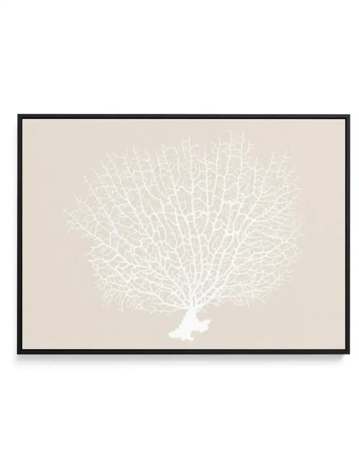 White Coral On Beige | Framed Canvas-CANVAS-You can shop wall art online with Olive et Oriel for everything from abstract art to fun kids wall art. Our beautiful modern art prints and canvas art are available from large canvas prints to wall art paintings and our proudly Australian artwork collection offers only the highest quality framed large wall art and canvas art Australia - You can buy fashion photography prints or Hampton print posters and paintings on canvas from Olive et Oriel and have 