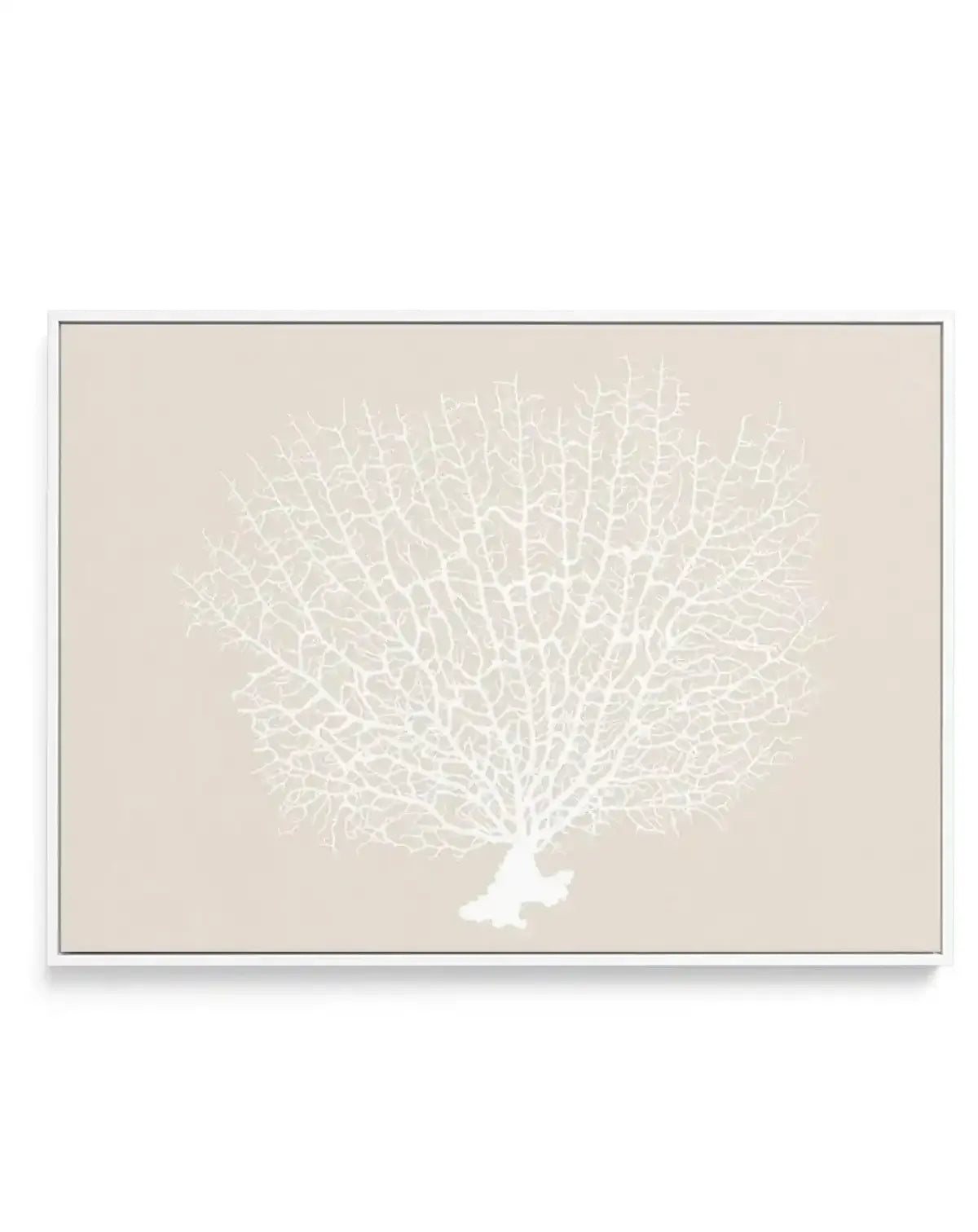 White Coral On Beige | Framed Canvas-CANVAS-You can shop wall art online with Olive et Oriel for everything from abstract art to fun kids wall art. Our beautiful modern art prints and canvas art are available from large canvas prints to wall art paintings and our proudly Australian artwork collection offers only the highest quality framed large wall art and canvas art Australia - You can buy fashion photography prints or Hampton print posters and paintings on canvas from Olive et Oriel and have 