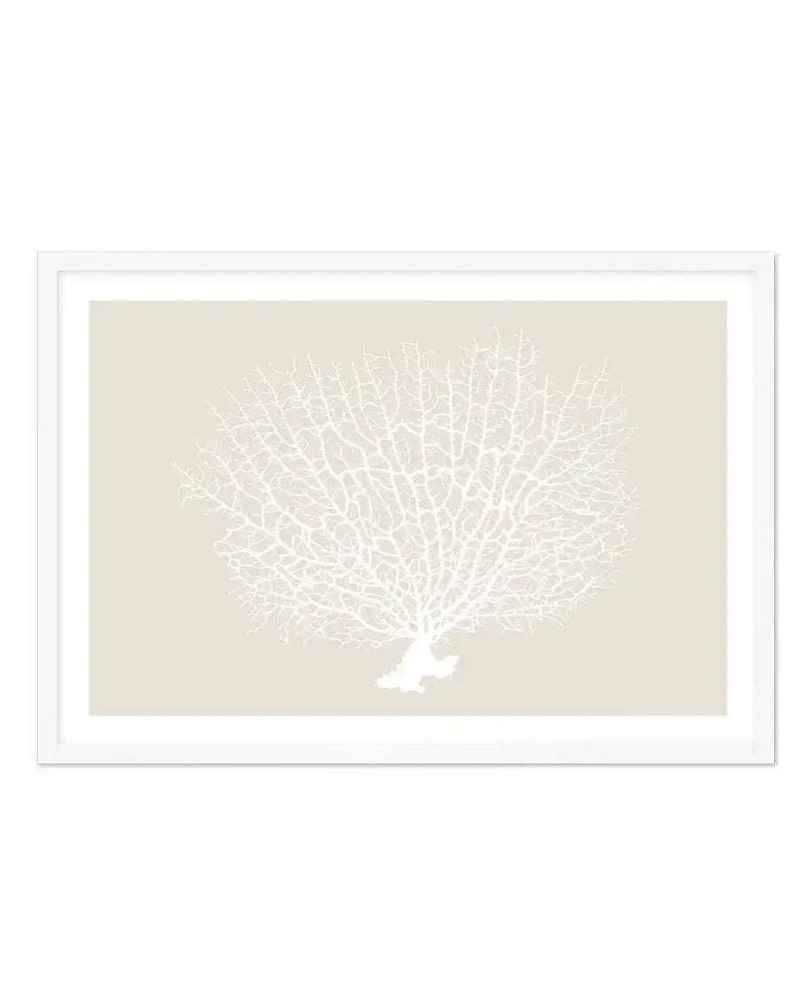 Art print featuring a detailed illustration of white coral with a delicate, branching structure, set against a soft beige background and displayed in a white frame with a white border.