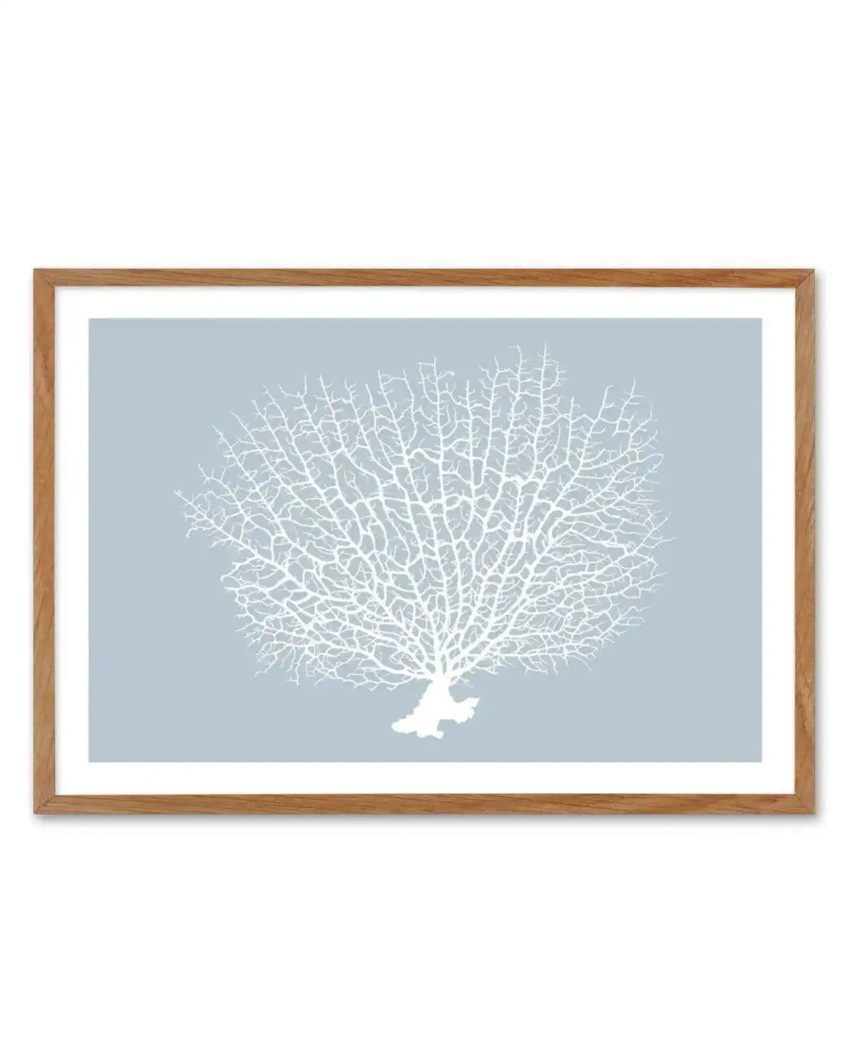 White Coral On Blue Art Print-PRINT-Olive et Oriel-Olive et Oriel-50x70 cm | 19.6" x 27.5"-Walnut-With White Border-Buy-Australian-Art-Prints-Online-with-Olive-et-Oriel-Your-Artwork-Specialists-Austrailia-Decorate-With-Coastal-Photo-Wall-Art-Prints-From-Our-Beach-House-Artwork-Collection-Fine-Poster-and-Framed-Artwork