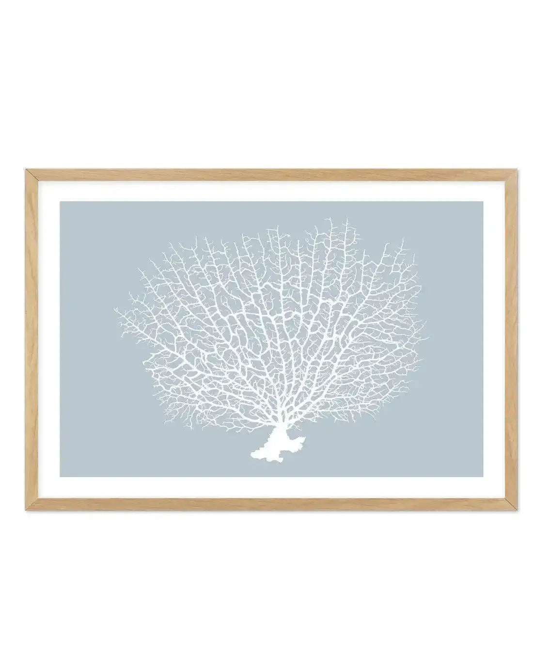 White Coral On Blue Art Print-PRINT-Olive et Oriel-Olive et Oriel-A5 | 5.8" x 8.3" | 14.8 x 21cm-Oak-With White Border-Buy-Australian-Art-Prints-Online-with-Olive-et-Oriel-Your-Artwork-Specialists-Austrailia-Decorate-With-Coastal-Photo-Wall-Art-Prints-From-Our-Beach-House-Artwork-Collection-Fine-Poster-and-Framed-Artwork