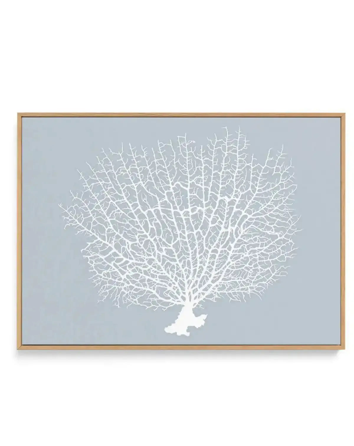 White Coral On Blue | Framed Canvas-CANVAS-You can shop wall art online with Olive et Oriel for everything from abstract art to fun kids wall art. Our beautiful modern art prints and canvas art are available from large canvas prints to wall art paintings and our proudly Australian artwork collection offers only the highest quality framed large wall art and canvas art Australia - You can buy fashion photography prints or Hampton print posters and paintings on canvas from Olive et Oriel and have t