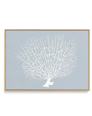 White Coral On Blue | Framed Canvas-CANVAS-You can shop wall art online with Olive et Oriel for everything from abstract art to fun kids wall art. Our beautiful modern art prints and canvas art are available from large canvas prints to wall art paintings and our proudly Australian artwork collection offers only the highest quality framed large wall art and canvas art Australia - You can buy fashion photography prints or Hampton print posters and paintings on canvas from Olive et Oriel and have t