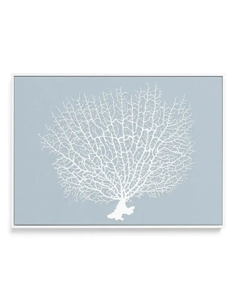Framed canvas art print featuring a stylized white coral branch against a soft dusty blue background. The coral displays intricate, delicate branching patterns radiating outward in a fan-like formation. The design uses a minimalist illustration style with fine white linework. The canvas is set in a slim gray frame with a white border, displayed as a horizontal rectangular composition.