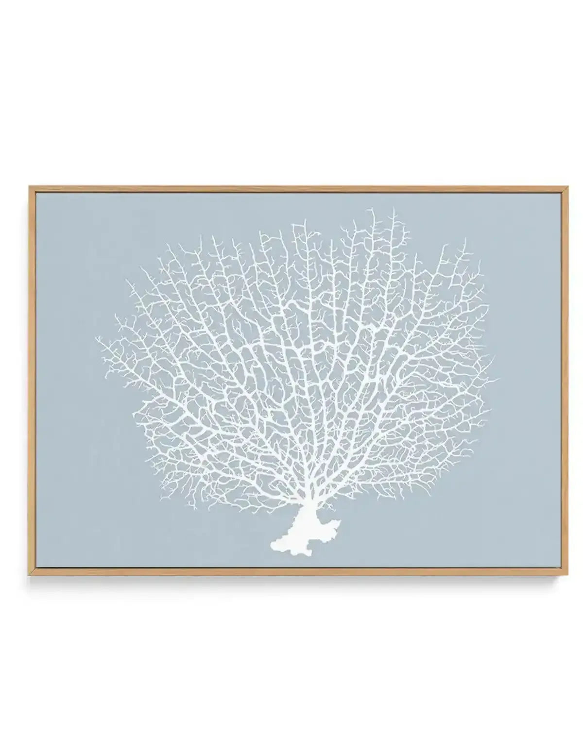 White Coral On Blue | Framed Canvas-CANVAS-You can shop wall art online with Olive et Oriel for everything from abstract art to fun kids wall art. Our beautiful modern art prints and canvas art are available from large canvas prints to wall art paintings and our proudly Australian artwork collection offers only the highest quality framed large wall art and canvas art Australia - You can buy fashion photography prints or Hampton print posters and paintings on canvas from Olive et Oriel and have t