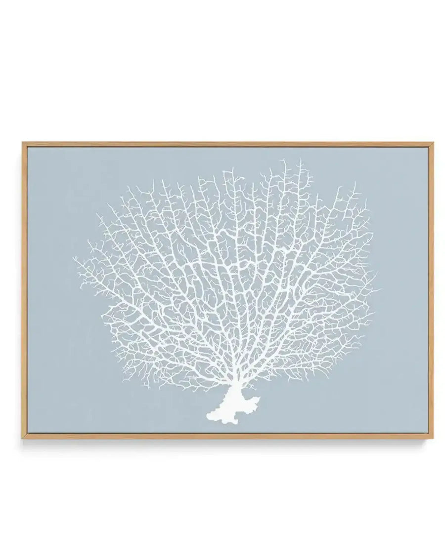Framed canvas art print featuring a white delicate coral illustration against a soft dusty blue background. The coral branches spread outward in an organic, branching pattern from a solid white base at the bottom. The design is displayed in a natural wood frame with a horizontal rectangular orientation.