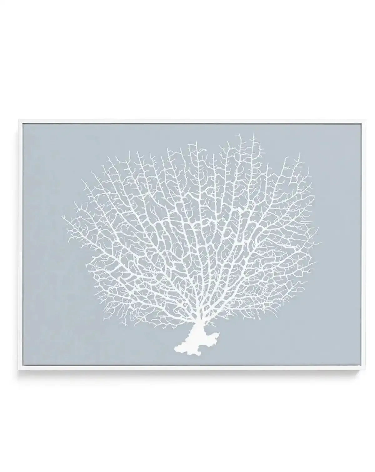 White Coral On Blue | Framed Canvas-CANVAS-You can shop wall art online with Olive et Oriel for everything from abstract art to fun kids wall art. Our beautiful modern art prints and canvas art are available from large canvas prints to wall art paintings and our proudly Australian artwork collection offers only the highest quality framed large wall art and canvas art Australia - You can buy fashion photography prints or Hampton print posters and paintings on canvas from Olive et Oriel and have t