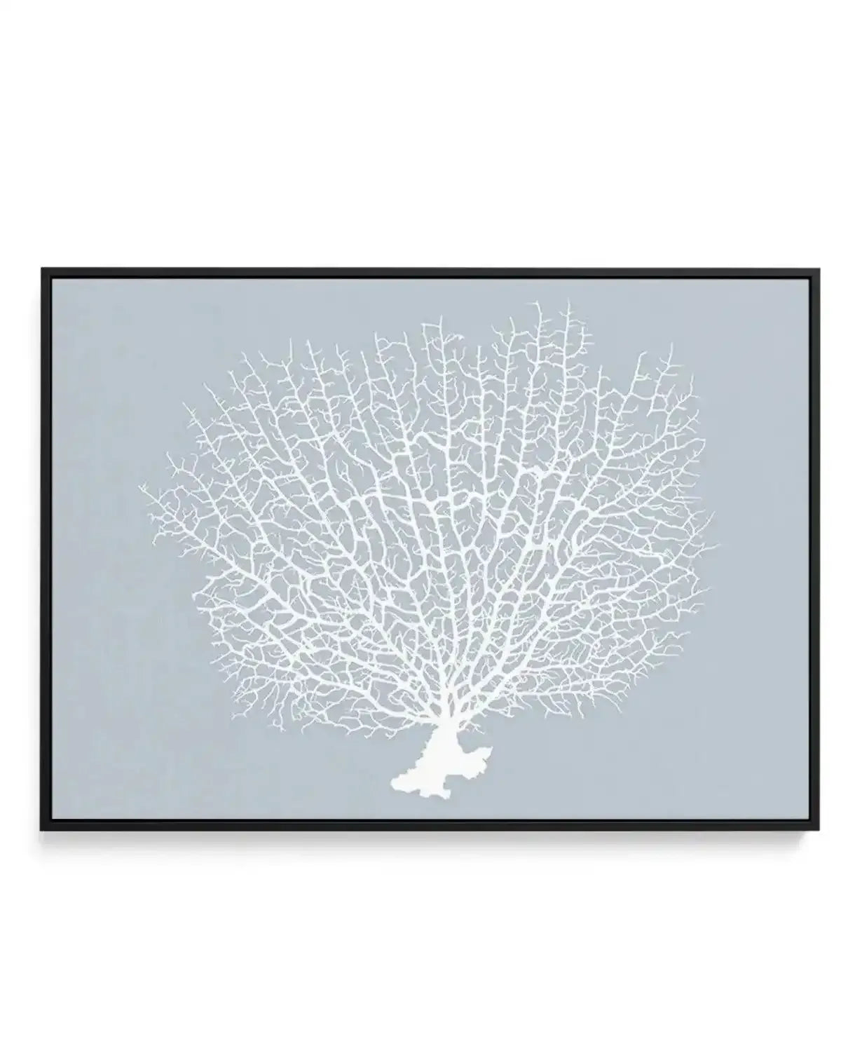 White Coral On Blue | Framed Canvas-CANVAS-You can shop wall art online with Olive et Oriel for everything from abstract art to fun kids wall art. Our beautiful modern art prints and canvas art are available from large canvas prints to wall art paintings and our proudly Australian artwork collection offers only the highest quality framed large wall art and canvas art Australia - You can buy fashion photography prints or Hampton print posters and paintings on canvas from Olive et Oriel and have t