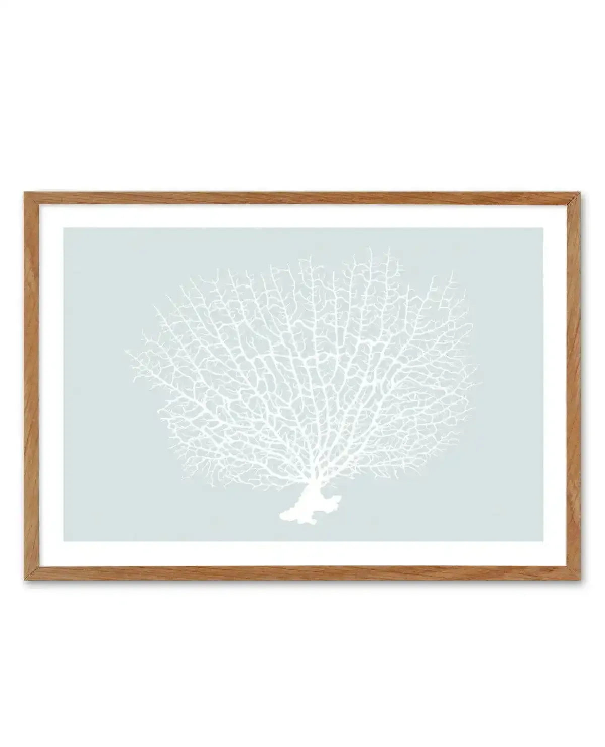 White Coral On Mint Art Print-PRINT-Olive et Oriel-Olive et Oriel-50x70 cm | 19.6" x 27.5"-Walnut-With White Border-Buy-Australian-Art-Prints-Online-with-Olive-et-Oriel-Your-Artwork-Specialists-Austrailia-Decorate-With-Coastal-Photo-Wall-Art-Prints-From-Our-Beach-House-Artwork-Collection-Fine-Poster-and-Framed-Artwork