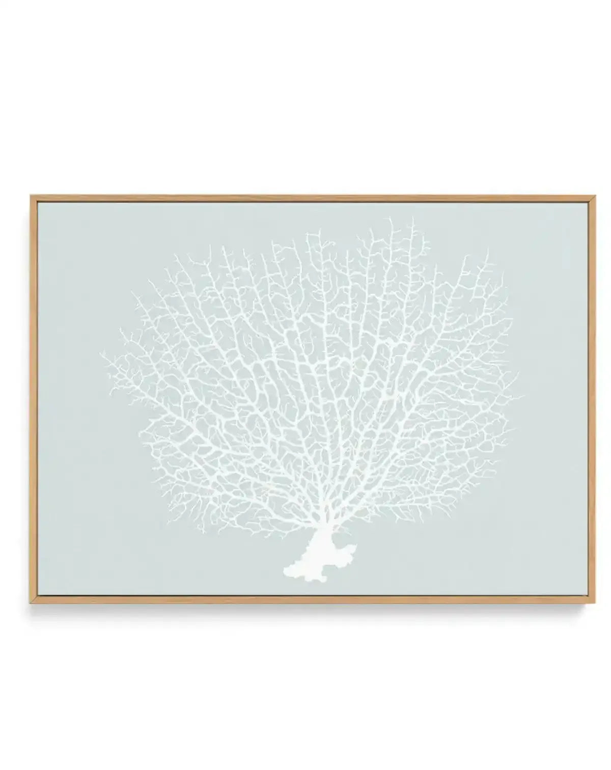 White Coral On Mint | Framed Canvas-CANVAS-You can shop wall art online with Olive et Oriel for everything from abstract art to fun kids wall art. Our beautiful modern art prints and canvas art are available from large canvas prints to wall art paintings and our proudly Australian artwork collection offers only the highest quality framed large wall art and canvas art Australia - You can buy fashion photography prints or Hampton print posters and paintings on canvas from Olive et Oriel and have t