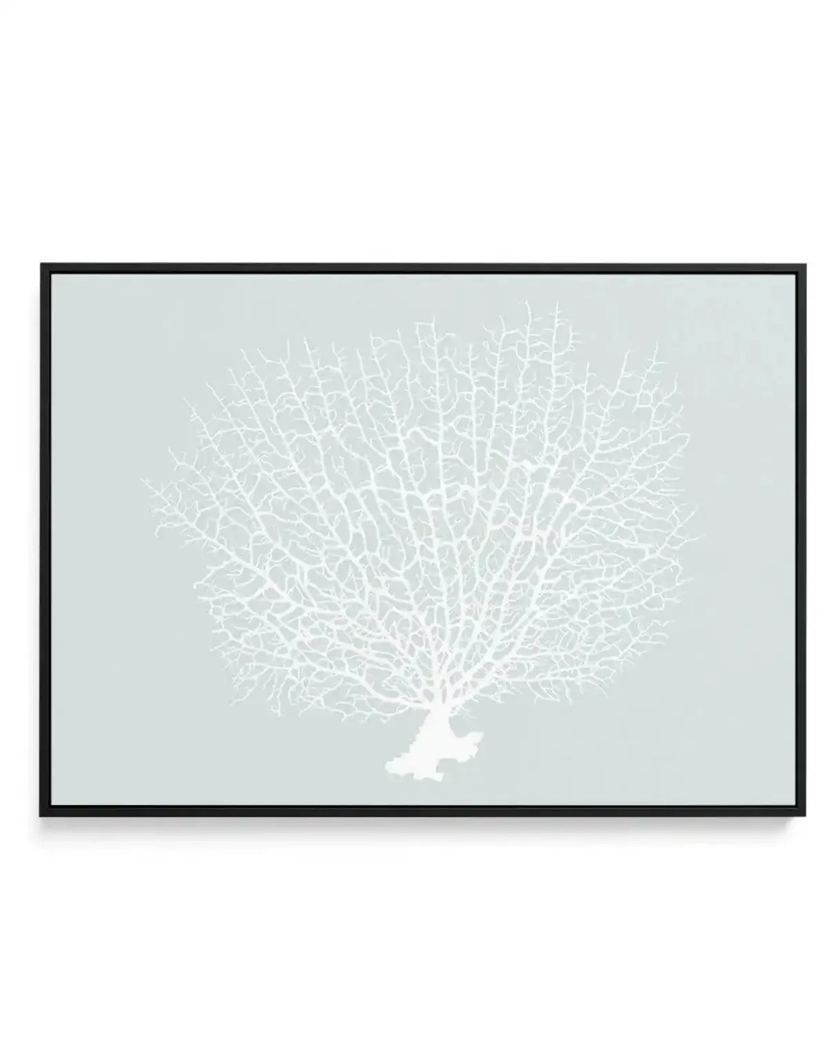 White Coral On Mint | Framed Canvas-CANVAS-You can shop wall art online with Olive et Oriel for everything from abstract art to fun kids wall art. Our beautiful modern art prints and canvas art are available from large canvas prints to wall art paintings and our proudly Australian artwork collection offers only the highest quality framed large wall art and canvas art Australia - You can buy fashion photography prints or Hampton print posters and paintings on canvas from Olive et Oriel and have t