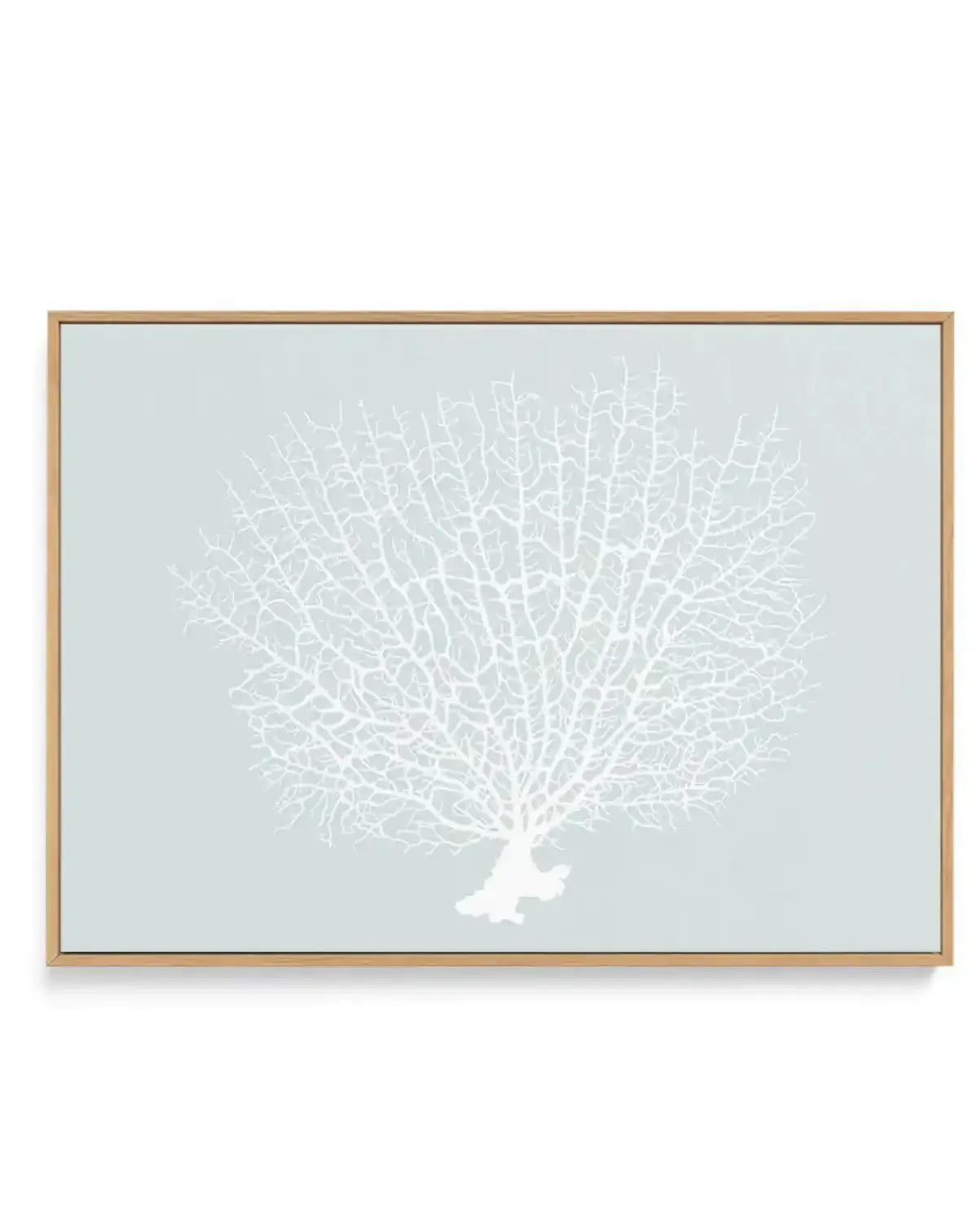 White Coral On Mint | Framed Canvas-CANVAS-You can shop wall art online with Olive et Oriel for everything from abstract art to fun kids wall art. Our beautiful modern art prints and canvas art are available from large canvas prints to wall art paintings and our proudly Australian artwork collection offers only the highest quality framed large wall art and canvas art Australia - You can buy fashion photography prints or Hampton print posters and paintings on canvas from Olive et Oriel and have t