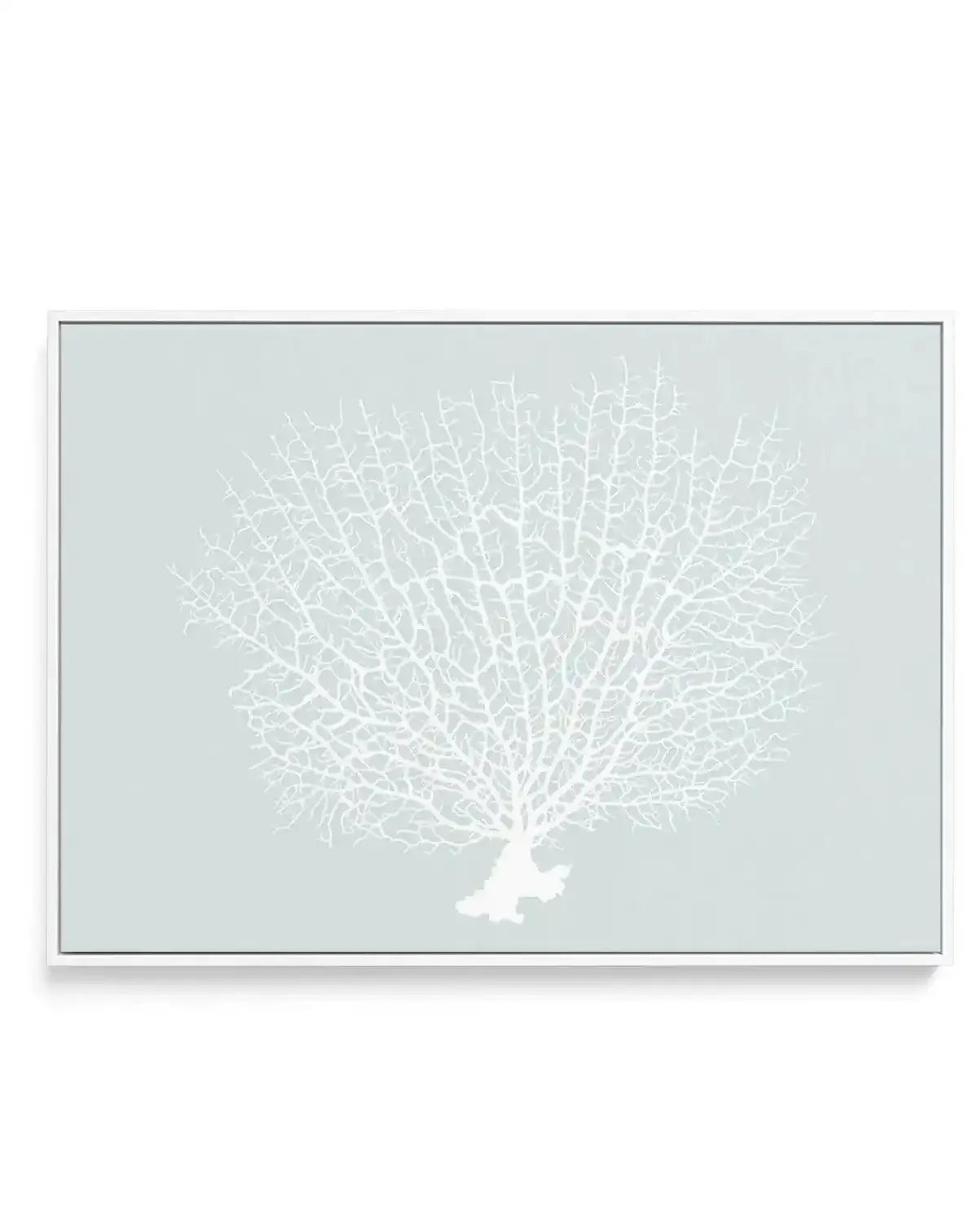 White Coral On Mint | Framed Canvas-CANVAS-You can shop wall art online with Olive et Oriel for everything from abstract art to fun kids wall art. Our beautiful modern art prints and canvas art are available from large canvas prints to wall art paintings and our proudly Australian artwork collection offers only the highest quality framed large wall art and canvas art Australia - You can buy fashion photography prints or Hampton print posters and paintings on canvas from Olive et Oriel and have t
