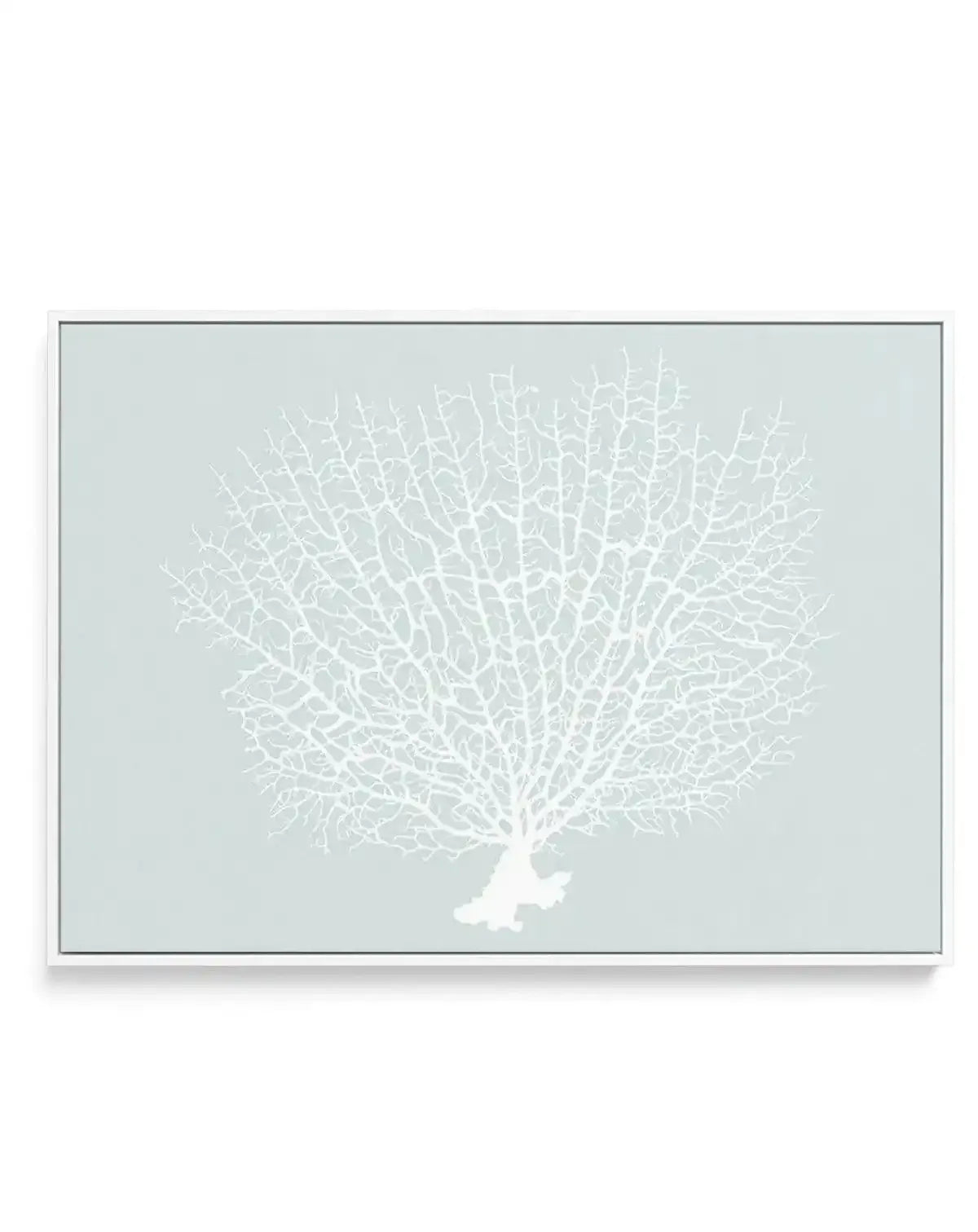 White Coral On Mint | Framed Canvas-CANVAS-You can shop wall art online with Olive et Oriel for everything from abstract art to fun kids wall art. Our beautiful modern art prints and canvas art are available from large canvas prints to wall art paintings and our proudly Australian artwork collection offers only the highest quality framed large wall art and canvas art Australia - You can buy fashion photography prints or Hampton print posters and paintings on canvas from Olive et Oriel and have t