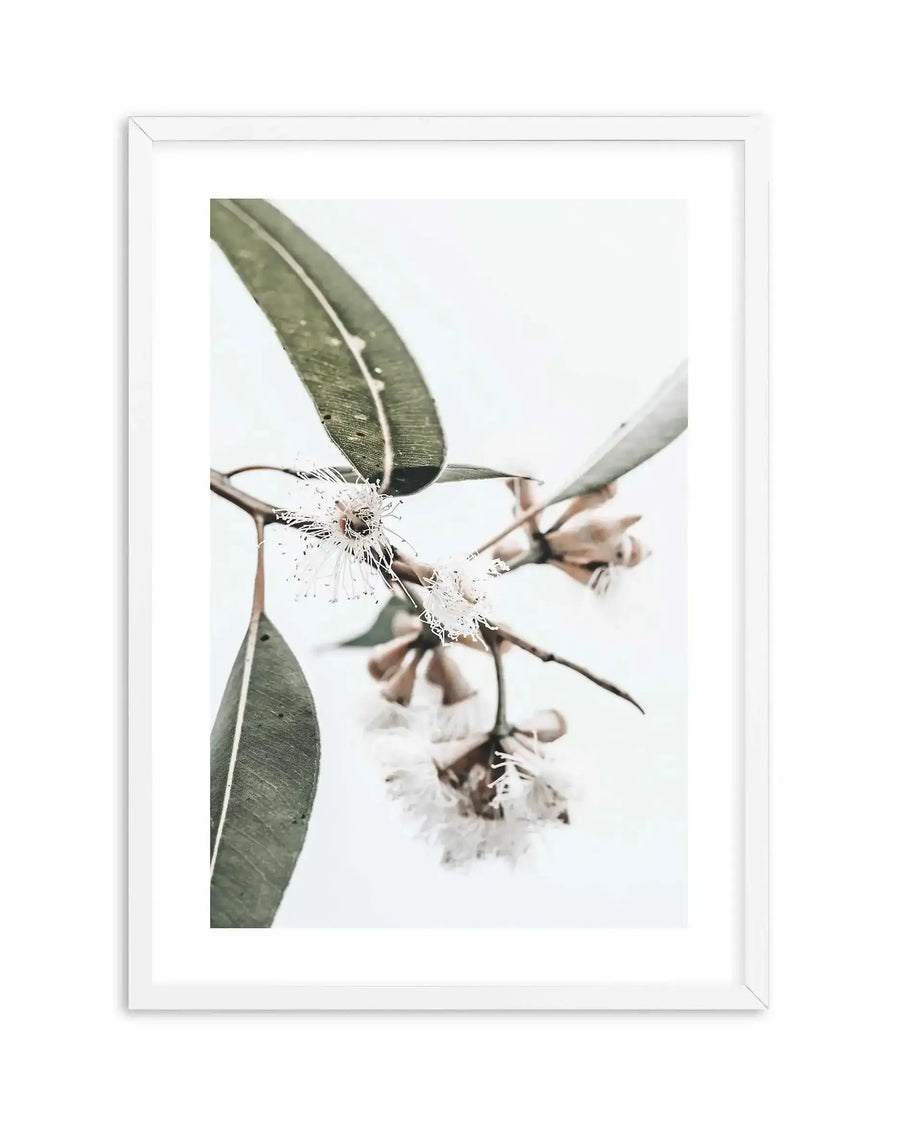 White Eucalyptus III Art Print displayed in a white wooden frame with white border. The photograph shows delicate eucalyptus branches with elongated sage green leaves against a soft, light background. Clustered white and pale taupe flowers bloom along thin stems, creating an airy, botanical composition. The image has a soft-focus, naturalistic quality with subtle texture and muted earth tones.