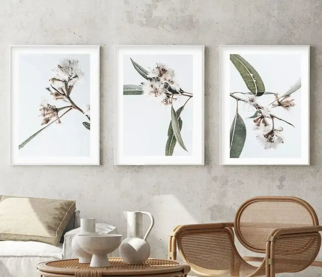 White Eucalyptus III Art Print-PRINT-Olive et Oriel-Olive et Oriel-Buy-Australian-Art-Prints-Online-with-Olive-et-Oriel-Your-Artwork-Specialists-Austrailia-Decorate-With-Coastal-Photo-Wall-Art-Prints-From-Our-Beach-House-Artwork-Collection-Fine-Poster-and-Framed-Artwork