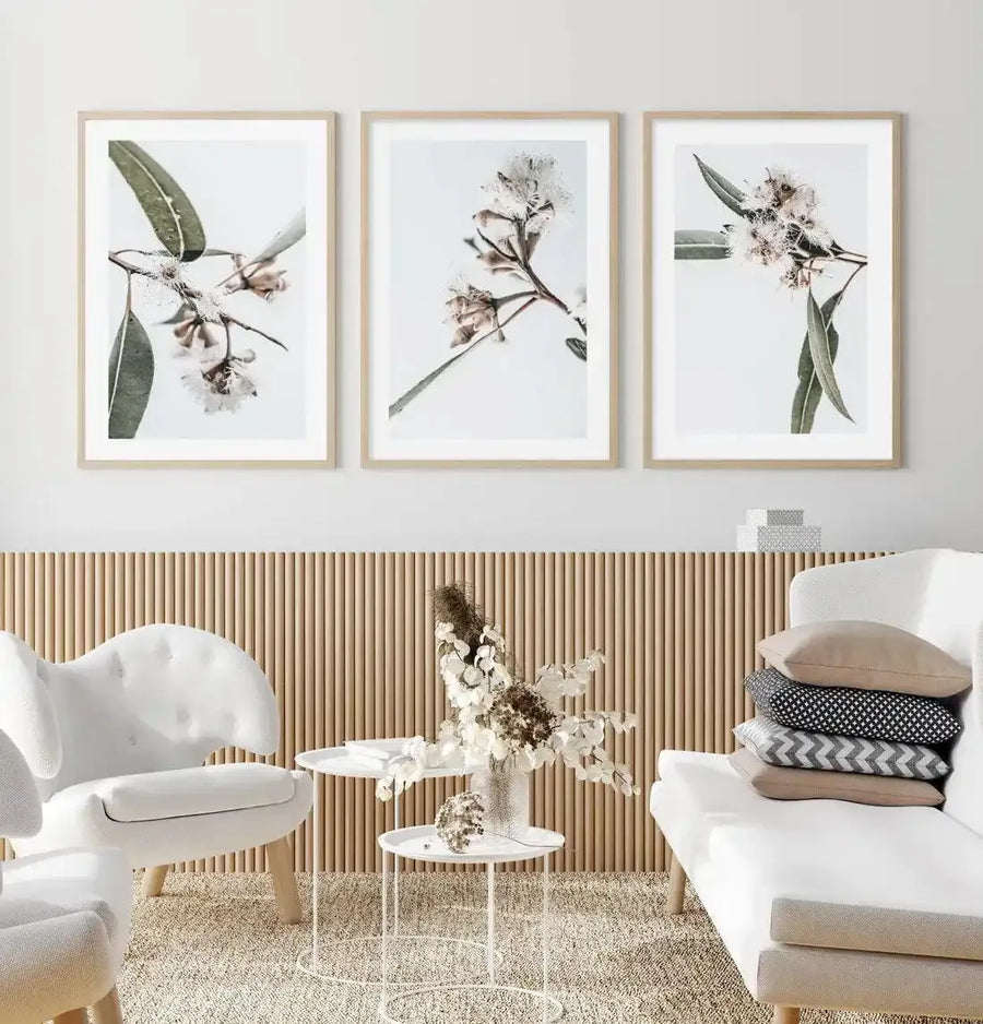 Lifestyle shot of three framed art prints displayed above a slatted wooden wall panel in a minimalist living room. The prints feature close-up botanical photographs of white eucalyptus flowers with delicate white stamens and long, slender green leaves against a bright white background, displayed in natural wood frames with white borders. The room includes a white curved armchair, a white sofa with stacked cushions, and a white side table with a vase of dried flowers.
