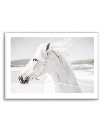 Framed black and white photograph of a white horse with its mane blowing in the wind, displayed in a white frame with a white border. The horse's head and neck are visible, facing left, with a light rope halter around its nose and over its head. The background is a bright, slightly hazy landscape with distant hills and a body of water.