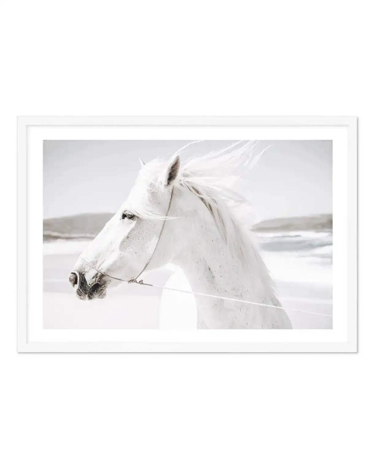 White Horse | Down in Mexico Art Print-PRINT-Olive et Oriel-Olive et Oriel-A5 | 5.8" x 8.3" | 14.8 x 21cm-White-With White Border-Buy-Australian-Art-Prints-Online-with-Olive-et-Oriel-Your-Artwork-Specialists-Austrailia-Decorate-With-Coastal-Photo-Wall-Art-Prints-From-Our-Beach-House-Artwork-Collection-Fine-Poster-and-Framed-Artwork